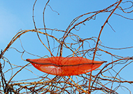 09_uneri